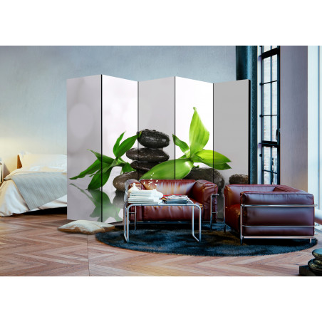 Paravan Peaceful Harmony Ii [Room Dividers] 225 cm x 172 cm-01