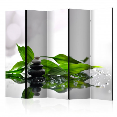 Paravan Zen Ii [Room Dividers] 225 cm x 172 cm-01