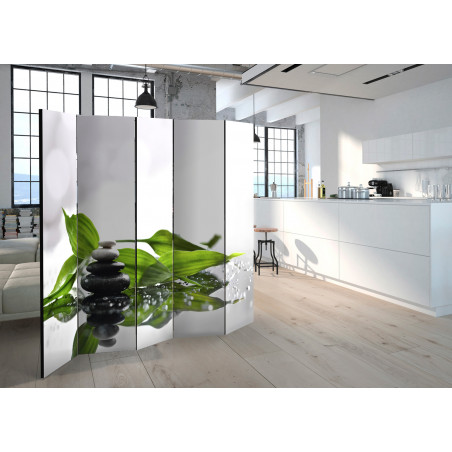 Paravan Zen Ii [Room Dividers] 225 cm x 172 cm-01
