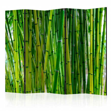 Paravan Bamboo Forest Ii [Room Dividers] 225 cm x 172 cm-01