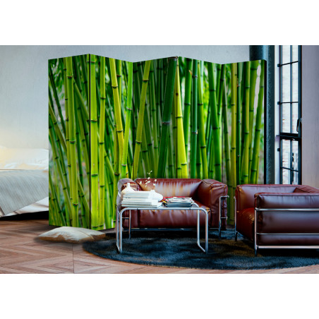Paravan Bamboo Forest Ii [Room Dividers] 225 cm x 172 cm-01