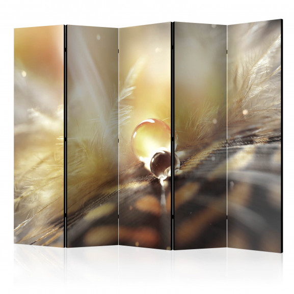 Paravan Magic Feather Ii [Room Divider] 225 cm x 172 cm