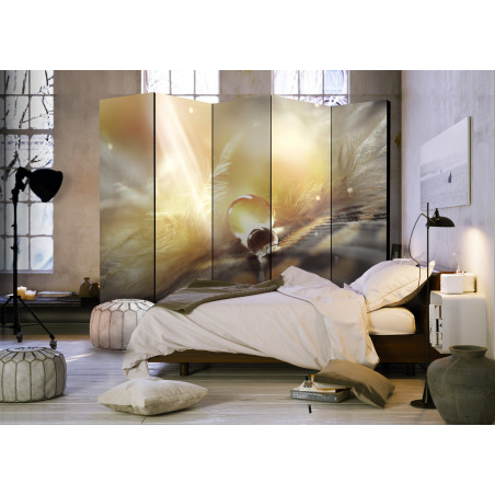 Paravan Magic Feather Ii [Room Divider] 225 cm x 172 cm-01