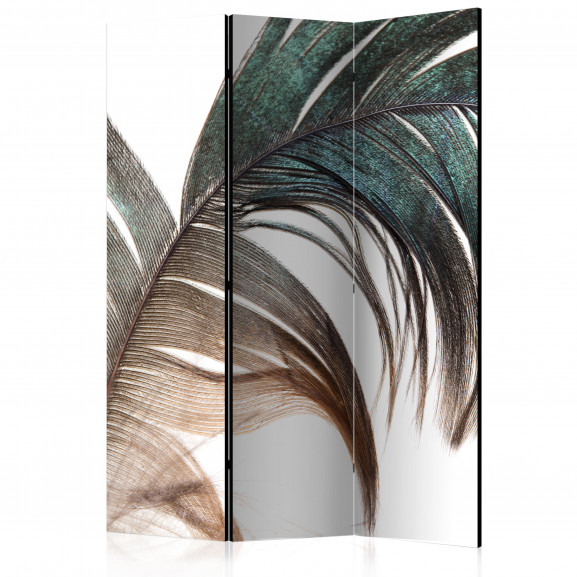 Paravan Beautiful Feather [Room Dividers] 135 cm x 172 cm