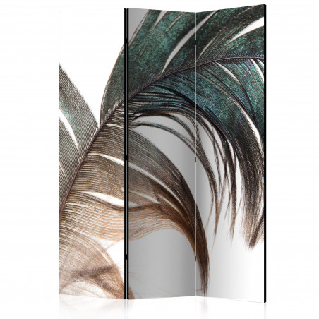 Paravan Beautiful Feather [Room Dividers] 135 cm x 172 cm-01