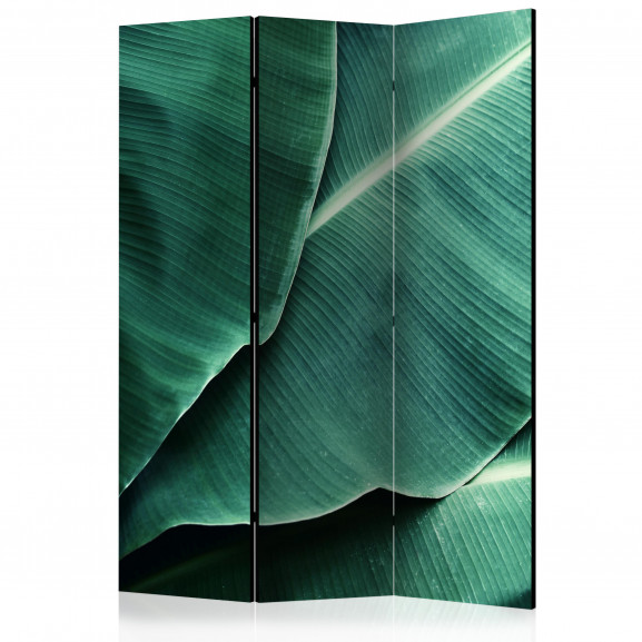 Paravan Banana Leaf [Room Dividers] 135 cm x 172 cm