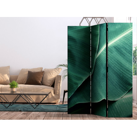 Paravan Banana Leaf [Room Dividers] 135 cm x 172 cm-01