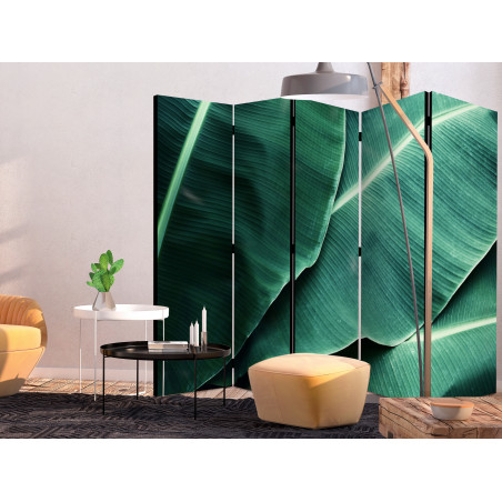 Paravan Banana Leaf Ii [Room Dividers] 225 cm x 172 cm-01