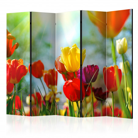 Paravan Spring Tulips Ii [Room Dividers] 225 cm x 172 cm-01
