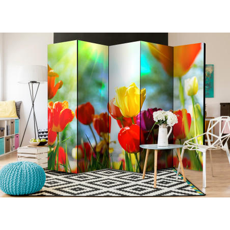 Paravan Spring Tulips Ii [Room Dividers] 225 cm x 172 cm-01