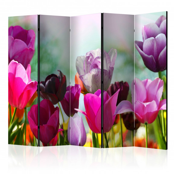 Paravan Beautiful Tulips Ii [Room Dividers] 225 cm x 172 cm