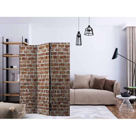 Paravan Brick Space [Room Dividers] 135 cm x 172 cm-01
