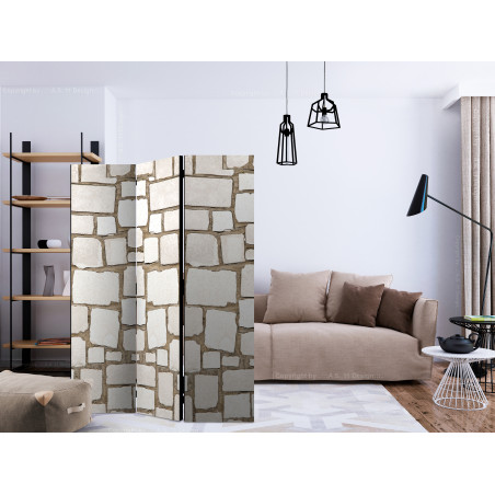 Paravan Stone Riddle [Room Dividers] 135 cm x 172 cm-01