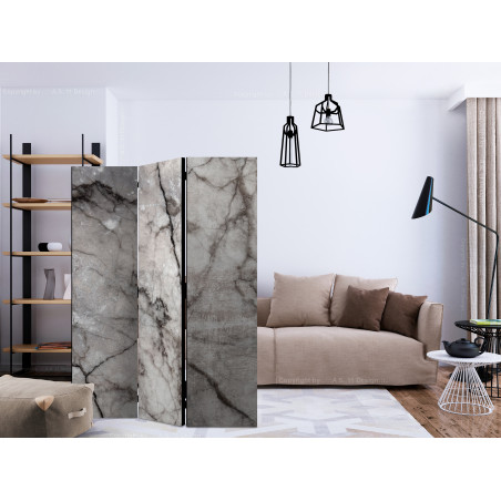 Paravan Grey Marble [Room Dividers] 135 cm x 172 cm-01