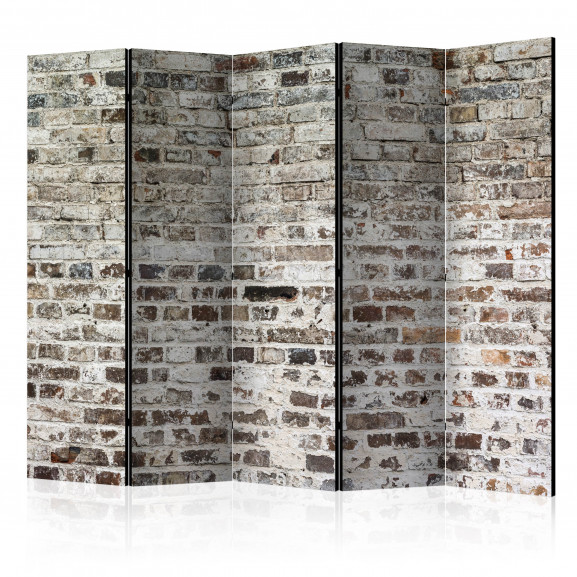 Paravan Walls Of Time Ii [Room Dividers] 225 cm x 172 cm