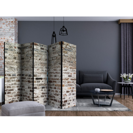 Paravan Walls Of Time Ii [Room Dividers] 225 cm x 172 cm-01