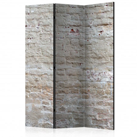 Paravan Hidden Harmony [Room Dividers] 135 cm x 172 cm-01