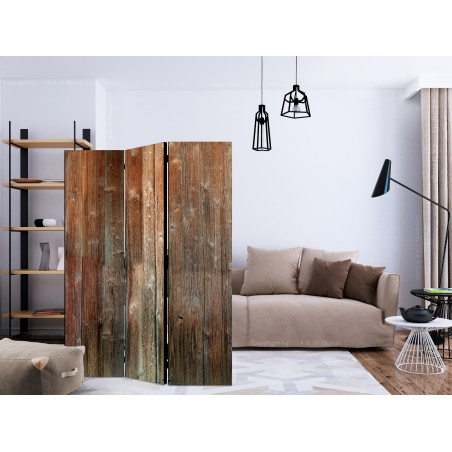 Paravan Forest Cottage [Room Dividers] 135 cm x 172 cm-01