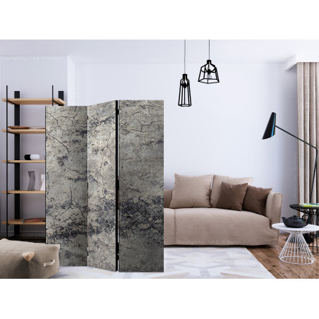 Paravan Grey Lady [Room Dividers] 135 cm x 172 cm-01