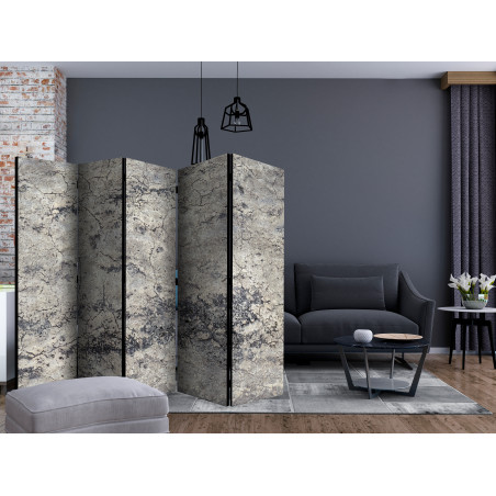 Paravan Grey Lady Ii [Room Dividers] 225 cm x 172 cm-01