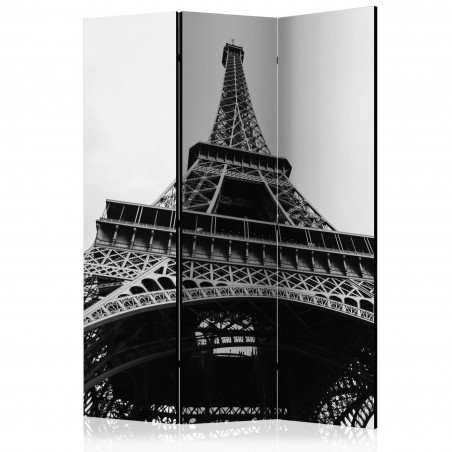 Paravan Paris Giant [Room Dividers] 135 cm x 172 cm-01