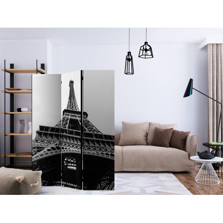 Paravan Paris Giant [Room Dividers] 135 cm x 172 cm-01