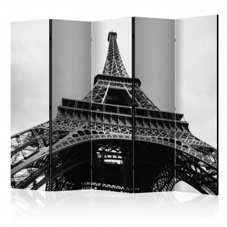 Paravan Paris Giant Ii [Room Dividers] 225 cm x 172 cm-01