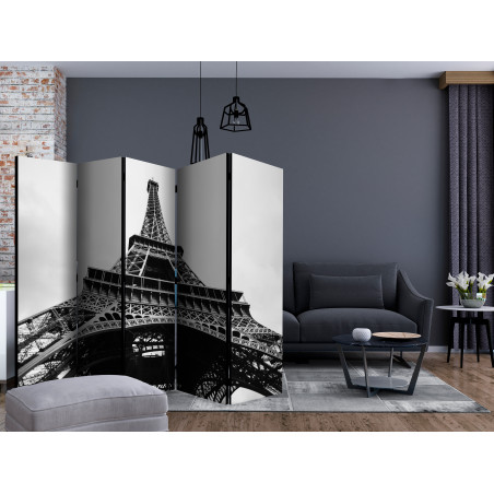 Paravan Paris Giant Ii [Room Dividers] 225 cm x 172 cm-01