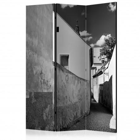 Paravan Narrow Street [Room Dividers] 135 cm x 172 cm-01