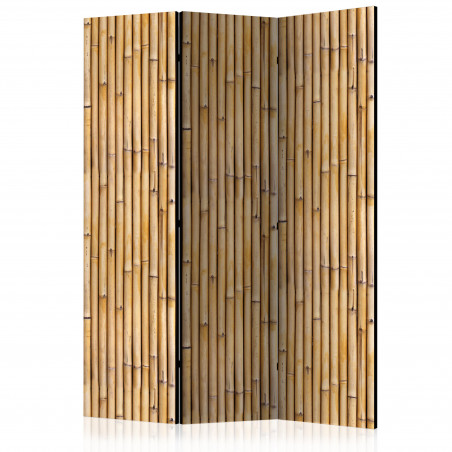 Paravan Amazonian Wall [Room Dividers] 135 cm x 172 cm-01