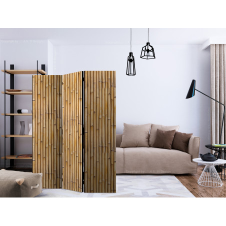 Paravan Amazonian Wall [Room Dividers] 135 cm x 172 cm-01