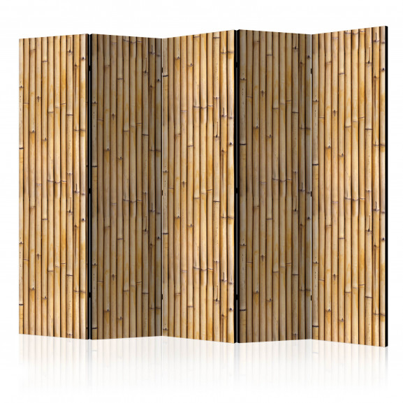 Paravan Amazonian Wall Ii [Room Dividers] 225 cm x 172 cm