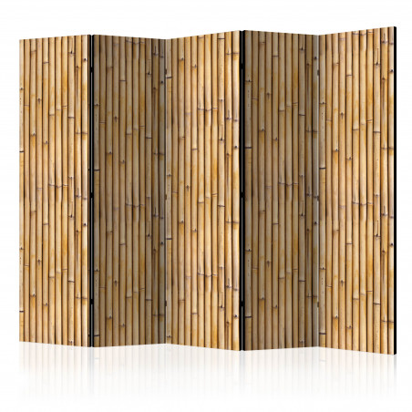 Paravan Amazonian Wall Ii [Room Dividers] 225 cm x 172 cm-01