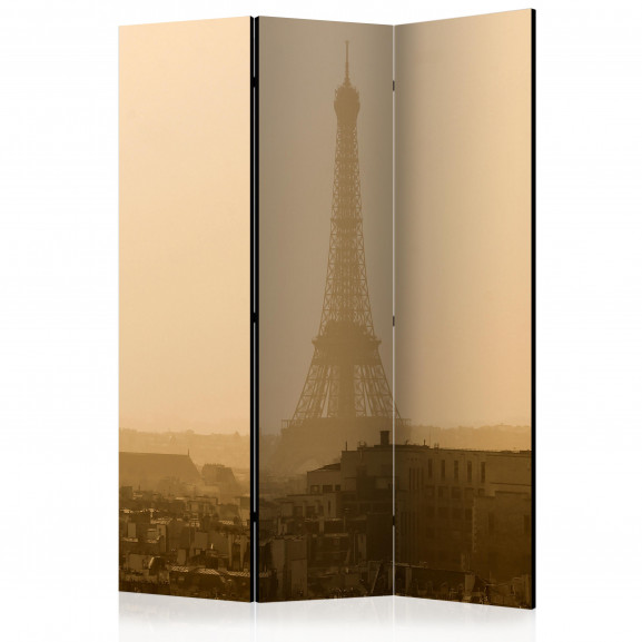 Paravan Paris At Dawn [Room Dividers] 135 cm x 172 cm
