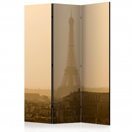 Paravan Paris At Dawn [Room Dividers] 135 cm x 172 cm-01