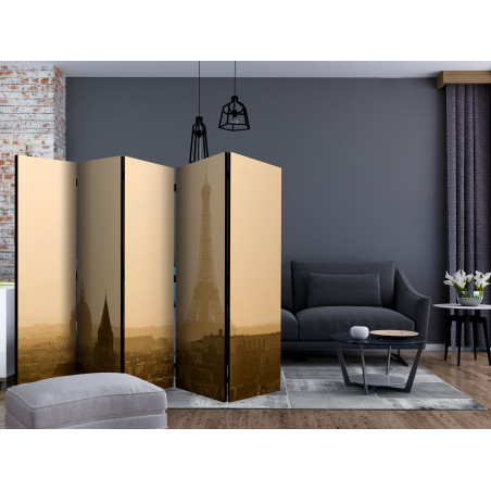 Paravan Paris At Dawn Ii [Room Dividers] 225 cm x 172 cm-01