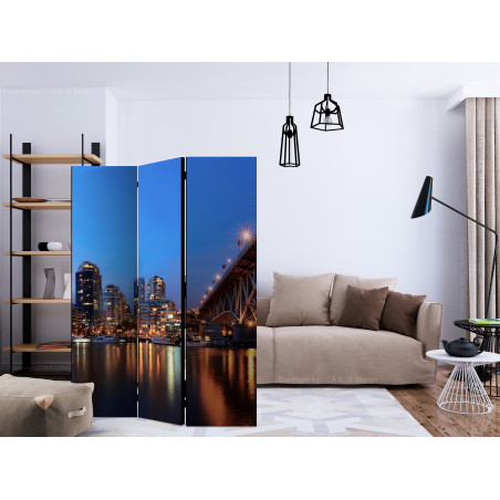 Paravan City Lights [Room Dividers] 135 cm x 172 cm-01