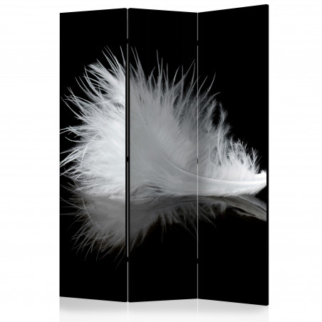 Paravan The Transience Of The Moment [Room Dividers] 135 cm x 172 cm-01