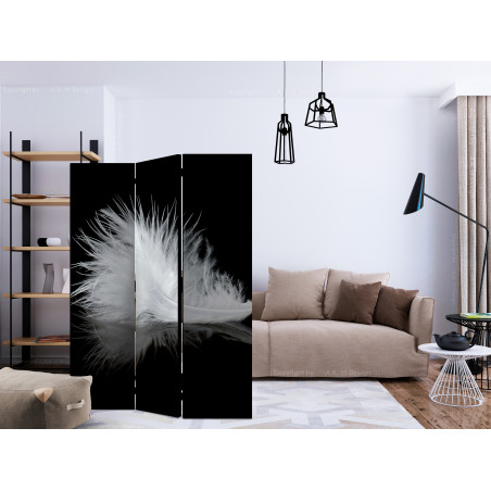 Paravan The Transience Of The Moment [Room Dividers] 135 cm x 172 cm-01