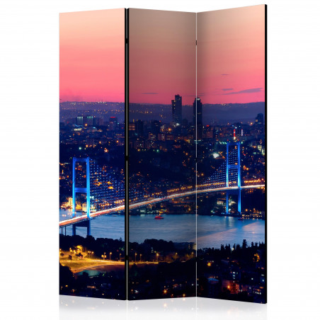 Paravan Bosphorus Bridge [Room Dividers] 135 cm x 172 cm-01