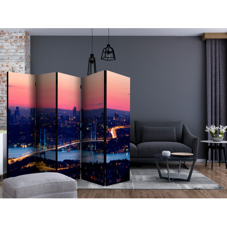 Paravan Bosphorus Bridge Ii [Room Dividers] 225 cm x 172 cm-01