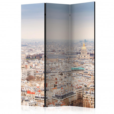 Paravan Paris Streets [Room Dividers] 135 cm x 172 cm-01