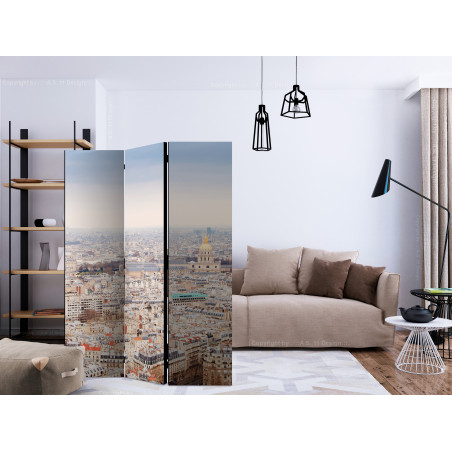 Paravan Paris Streets [Room Dividers] 135 cm x 172 cm-01