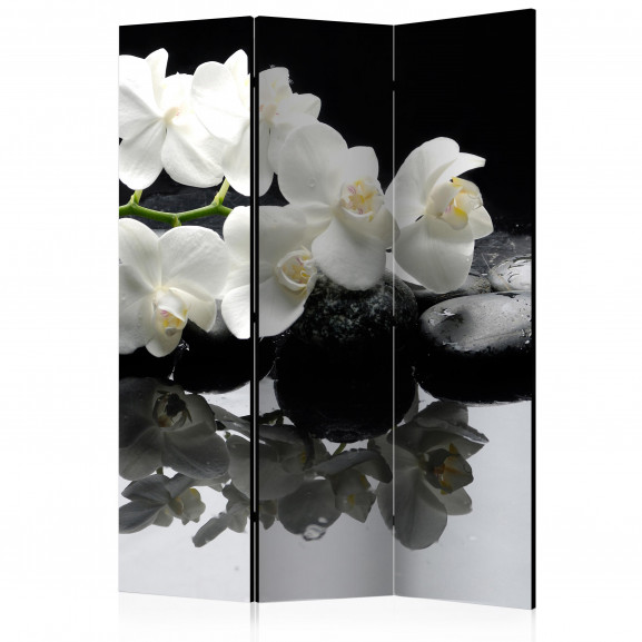 Paravan Spa, Stones And Orchid [Room Dividers] 135 cm x 172 cm
