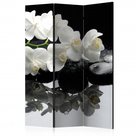Paravan Spa, Stones And Orchid [Room Dividers] 135 cm x 172 cm-01