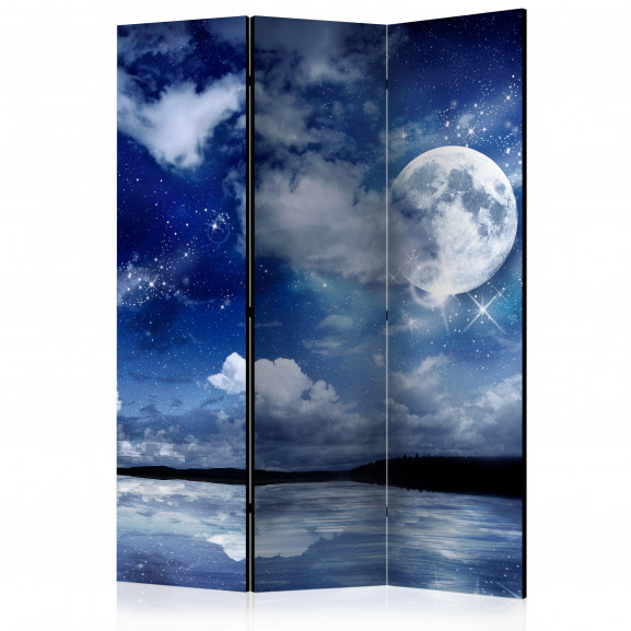 Paravan Magic Night [Room Dividers] 135 cm x 172 cm