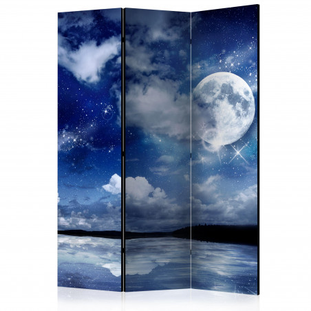 Paravan Magic Night [Room Dividers] 135 cm x 172 cm-01