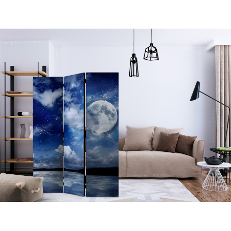 Paravan Magic Night [Room Dividers] 135 cm x 172 cm-01