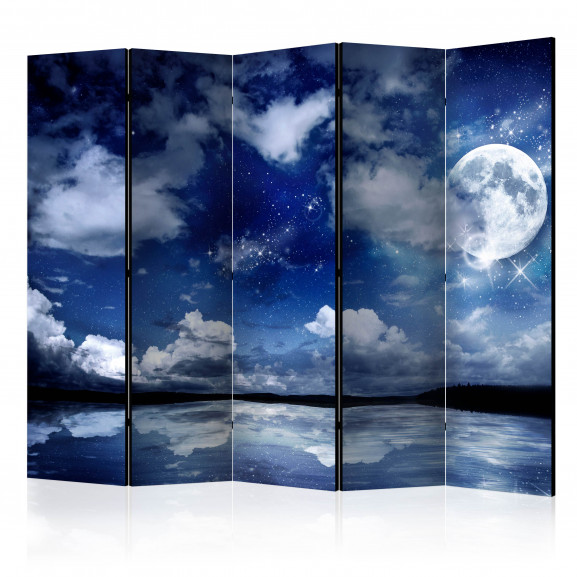 Paravan Magic Night Ii [Room Dividers] 225 cm x 172 cm