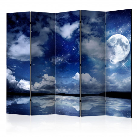 Paravan Magic Night Ii [Room Dividers] 225 cm x 172 cm-01